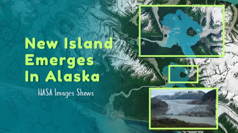 New Island Emerges In Alaska As Alsek Glacier Retreats, NASA Images Show (1)